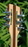 Rickenbacker 360/12 , Mapleglo: Headstock - Rear