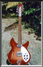 Rickenbacker 1993/12 RoMo, Fireglo: Full Instrument - Front