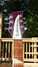 Rickenbacker 360/6 WB, Burgundy: Headstock