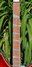 Rickenbacker 360/12 C63, Fireglo: Neck - Front