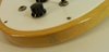 Rickenbacker 420/6 , Mapleglo: Close up - Free2