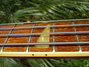 Rickenbacker 4001/4 , Walnut: Neck - Front