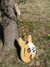 Rickenbacker 360/12 O.S., Mapleglo: Full Instrument - Front