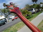 Rickenbacker 4001/4 , Fireglo: Neck - Rear