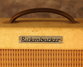 Rickenbacker M-8/amp , Blonde: Full Instrument - Rear