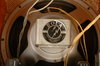 Rickenbacker M-12/amp , Brown: Free image2