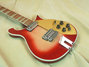 Rickenbacker 660/12 , Fireglo: Free image