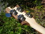 Rickenbacker 4001/4 C64, Mapleglo: Headstock - Rear