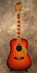 Rickenbacker 730/6 PW Build (acoustic), Fireglo: Full Instrument - Front