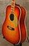 Rickenbacker 730/6 Laramie, Autumnglo: Close up - Free2