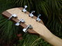 Rickenbacker 650/6 Dakota, Natural Walnut: Headstock - Rear