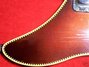 Rickenbacker 320/6 WB, Autumnglo: Close up - Free