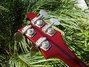 Rickenbacker 4001/4 , Burgundy: Headstock - Rear