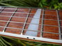 Rickenbacker 360/6 , Mapleglo: Neck - Front