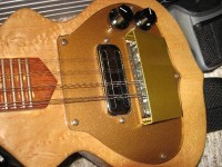 5002birdy2.jpg