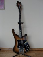 4002 WALNUT FRONT.JPG