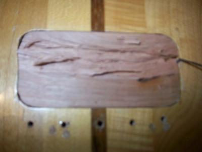 tailpiece rout full 400 x 300.jpg