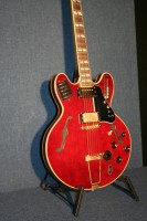 Guitorgan1-resize.jpg