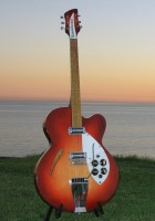 1960 335F with white guards and truss rod cover