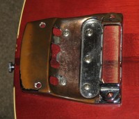 tailtop.jpg