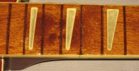 frets1.jpg