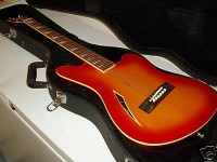 surfcaster_acoustic.JPG