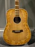 Rick_acoustic.JPG