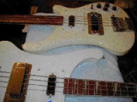 WhiteBasses1.JPG