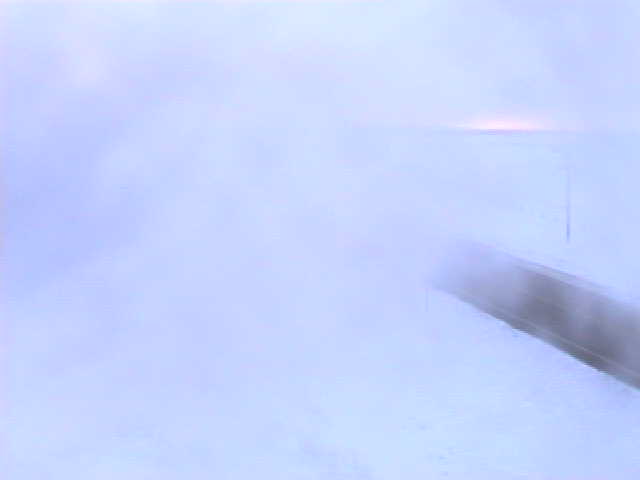 Vid-000269005-00-00-2009-02-01-00-03.jpg