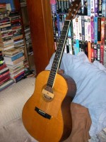 1977 Larivee Acoustic