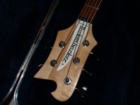 s5headstock.JPG