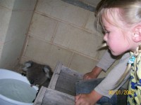 image002.jpg