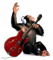 chimp-playing-guitar.jpg