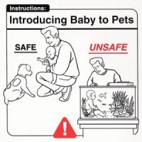 baby_pets.jpg