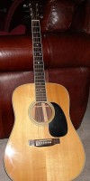 martin 002.JPG