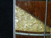 S_IMAG0013.JPG