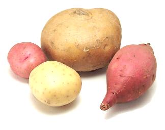 tubers.jpg