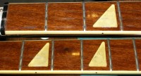 Neck001.jpg