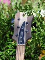 headwings-sm.jpg
