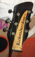 Headstock with a cleaned up TRC