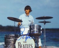 ringo7.jpg