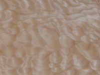 figured-maple-sm.jpg