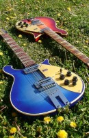 with her 12 string head-headed sister