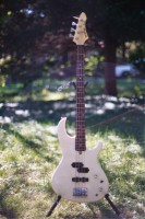 My project bass