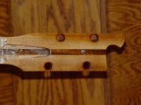 earless-86.jpg