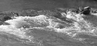 N Pacolet River.jpg