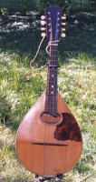 1920s era Vega mandolin