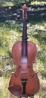 My fiddle