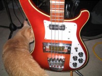 21fret3.jpg