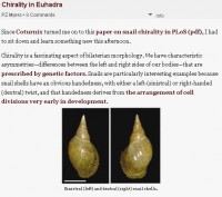 chiralityinsnails.jpg